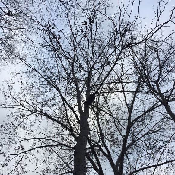 Meet your Posher, Katherine - Picture 1 of 1